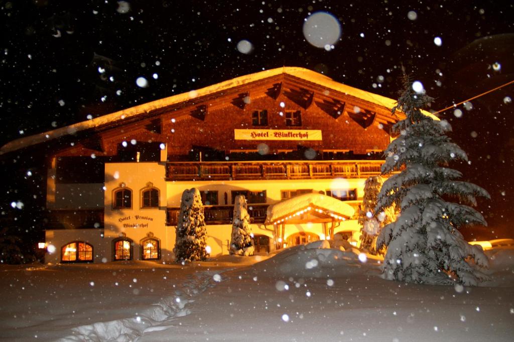 Panorama-Hotel Winklerhof v zimě