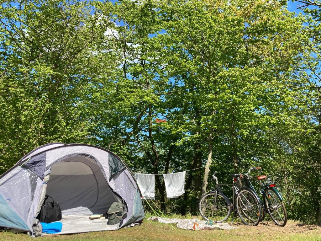 une tente et deux vélos garés à côté des arbres dans l'établissement Bådsted Camping, à Gudhjem