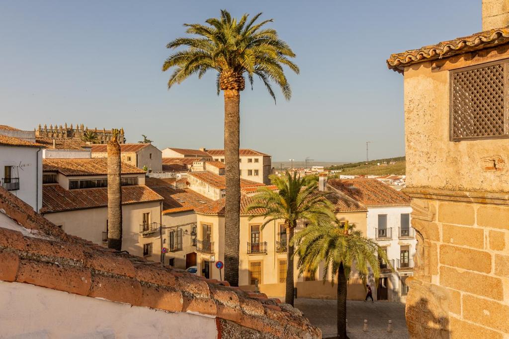 Apartamentos con vistas en el casco histórico - El Patio - 15