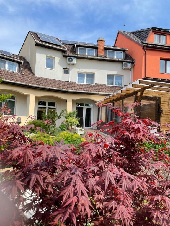 a house with red plants in front of it at Illaberek Panzió in Eger