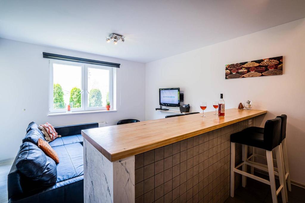 Televízia a/alebo spoločenská miestnosť v ubytovaní Apartament Ustronny