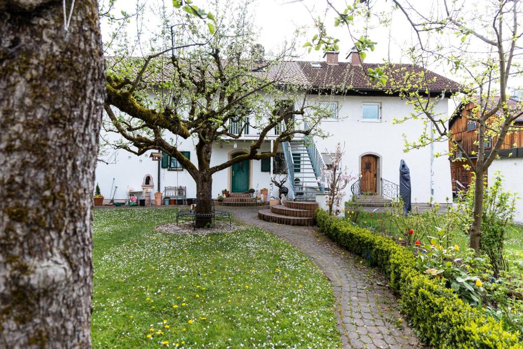 ein weißes Haus mit einem Baum im Hof in der Unterkunft Maisonette Ahornhöhe in Kempten