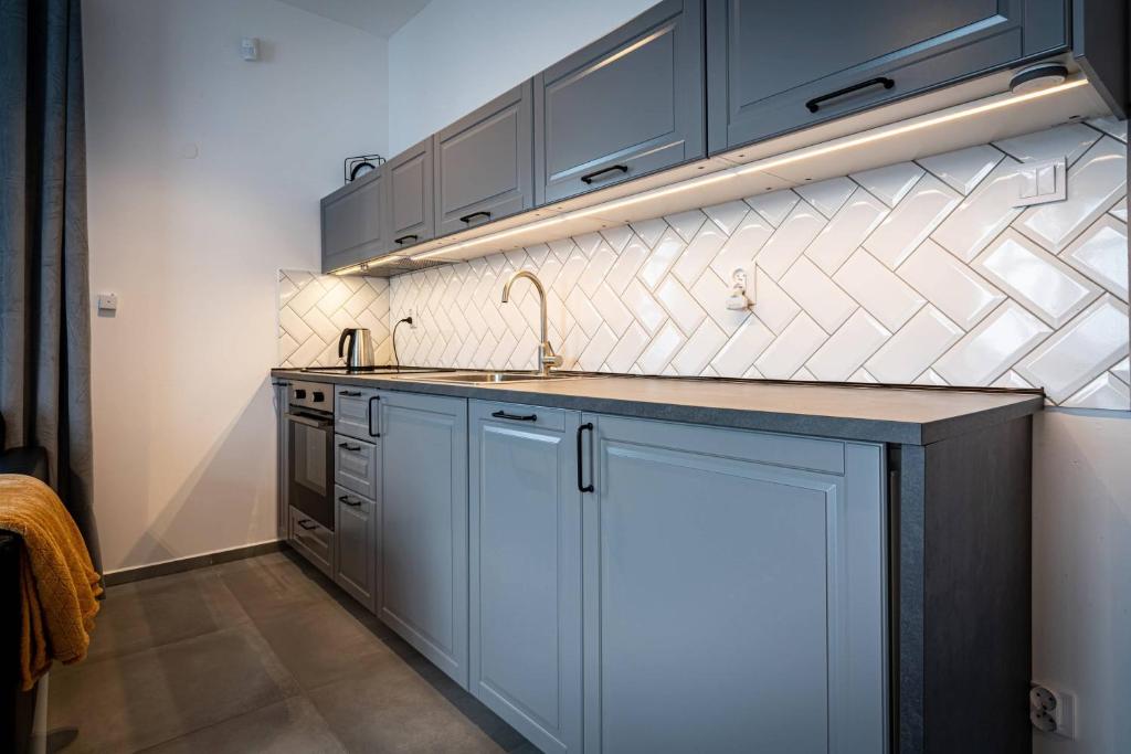 Kuchyňa alebo kuchynka v ubytovaní Apartamenty Ustronne Liściasta