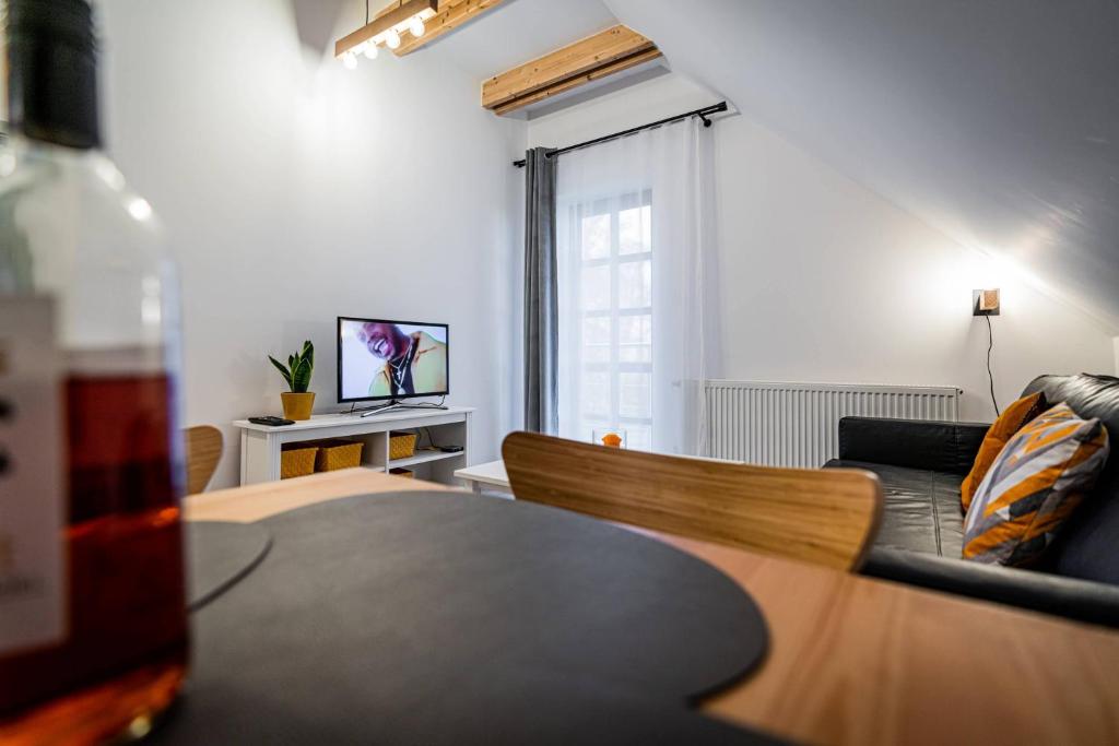 Televízia a/alebo spoločenská miestnosť v ubytovaní Apartamenty Ustronne Liściasta