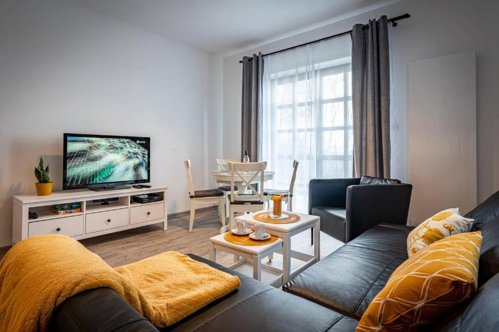 a living room with a couch and a tv at Apartamenty Ustronne Liściasta in Ustroń