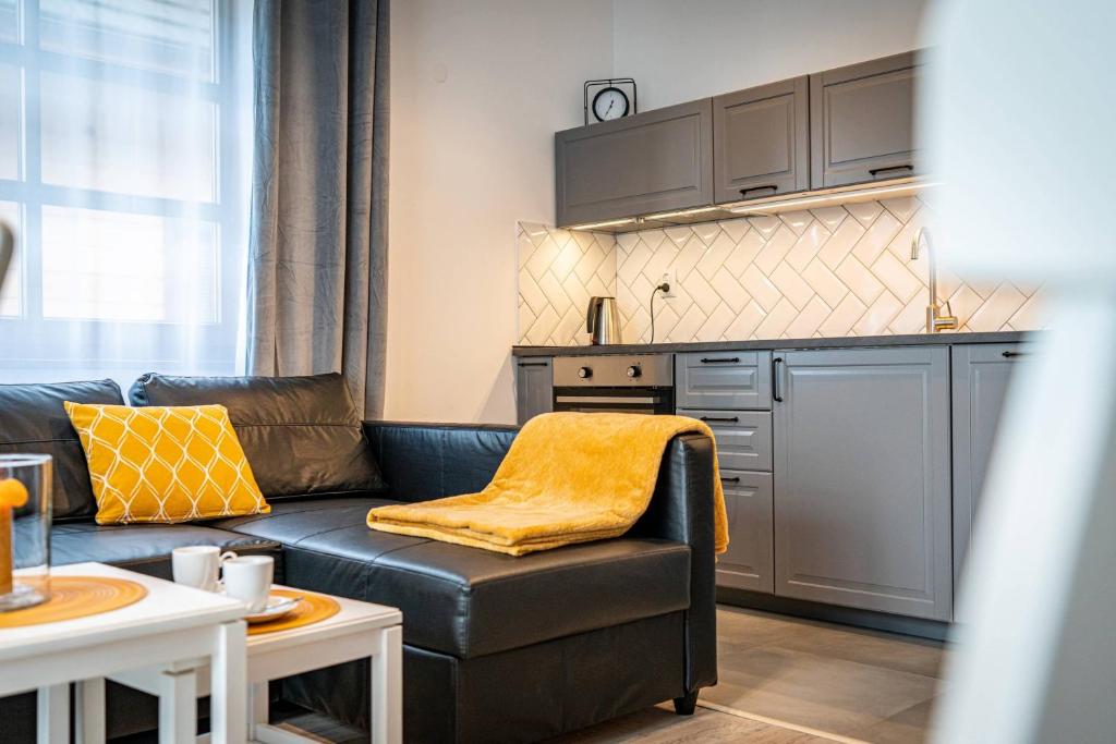 Kuchyňa alebo kuchynka v ubytovaní Apartamenty Ustronne Liściasta