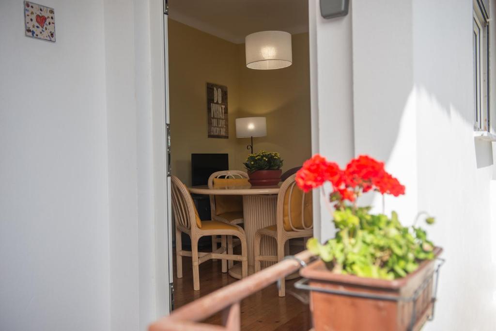 un pasillo con una mesa con flores rojas en una olla en Casa do Carvalhal - natureza no centro da cidade, en Santa Maria da Feira