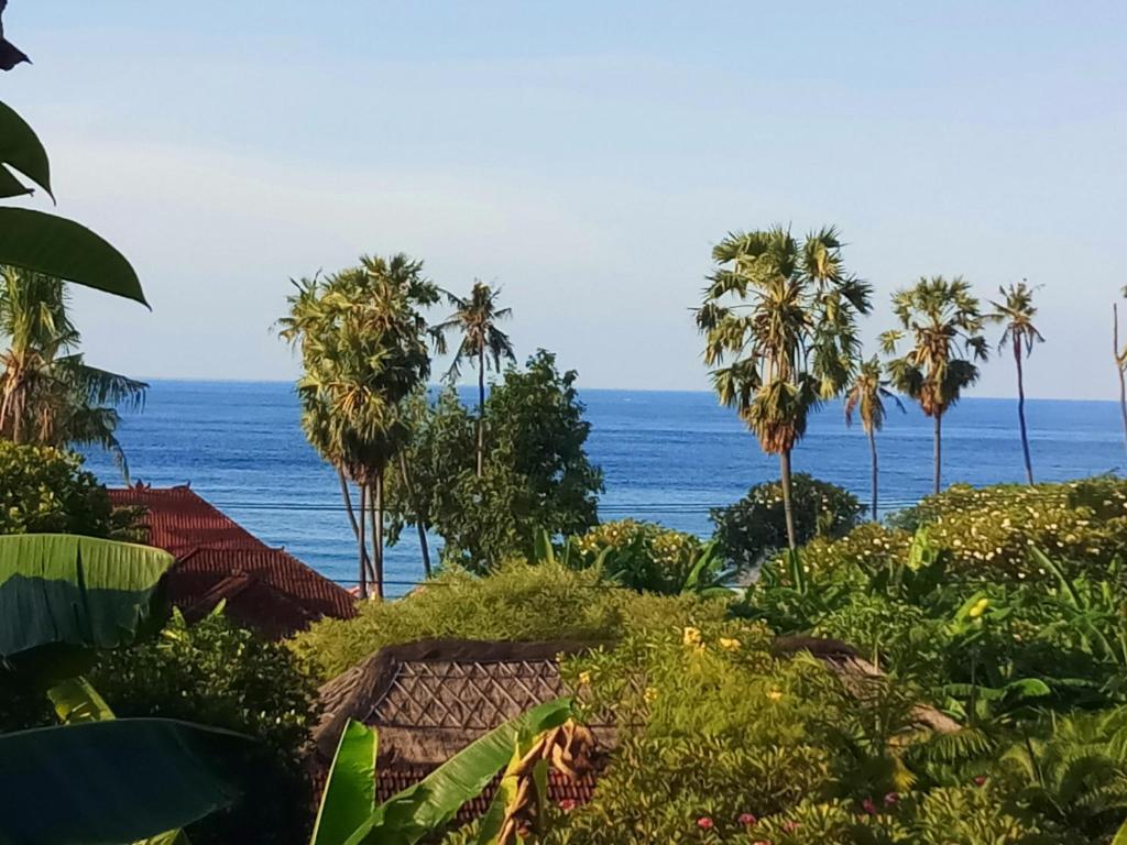 a view of the ocean from a resort with palm trees at Rumah Wayans Lipah in Amed
