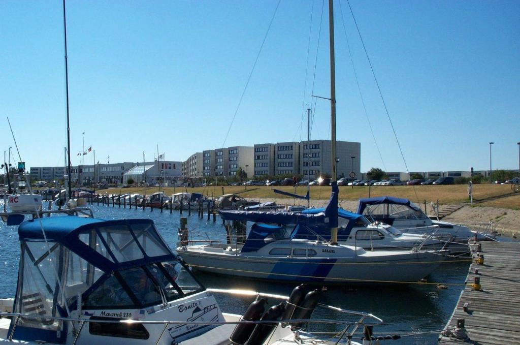 Burgtiefe auf Fehmarn にあるBTSH66212-FeWo-Bootskiekerの船の集団が桟橋に停泊