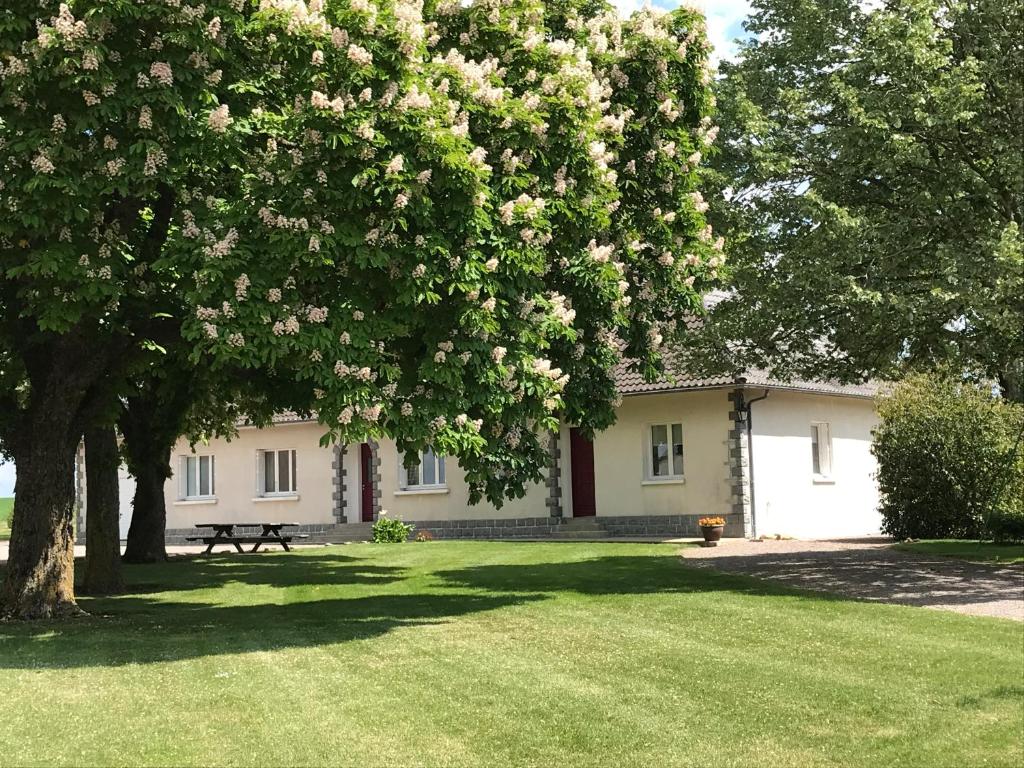 una casa con una mesa de picnic y un árbol en Chambre d'hôtes à la campagne, en Coings