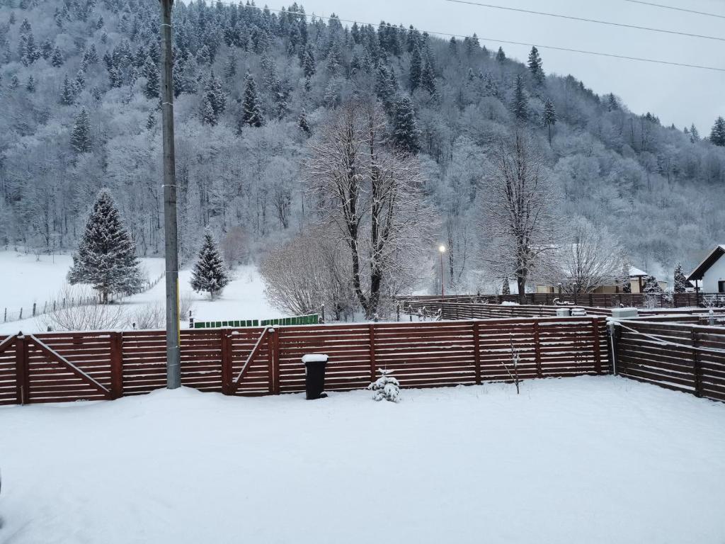 Cabana lucia v zimě
