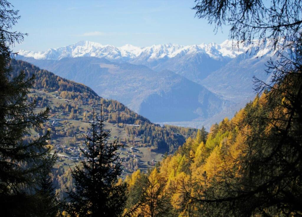 Pracondu 2 305 - OUTDOOR & FUN charming apartment - Resim 37