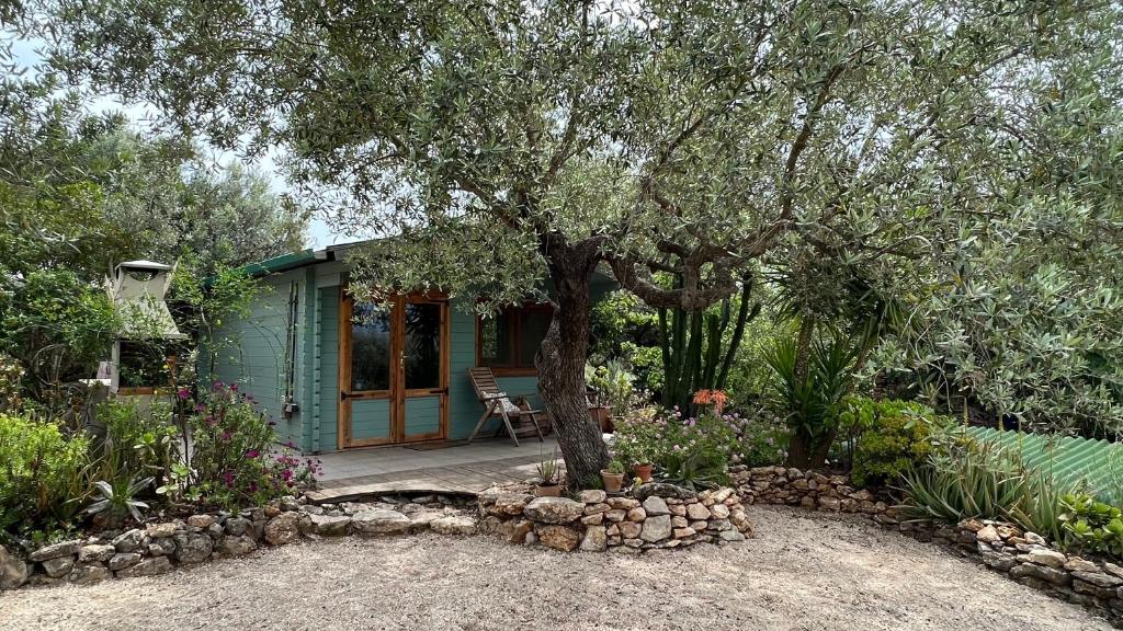 una pequeña casa verde con un árbol en un jardín en Finca Florecer, en Tivenys
