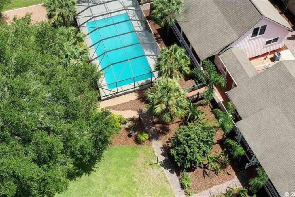 an overhead view of a swimming pool in a yard with trees at University House - 8 Bedrooms Walk to UF / Stadium in Gainesville