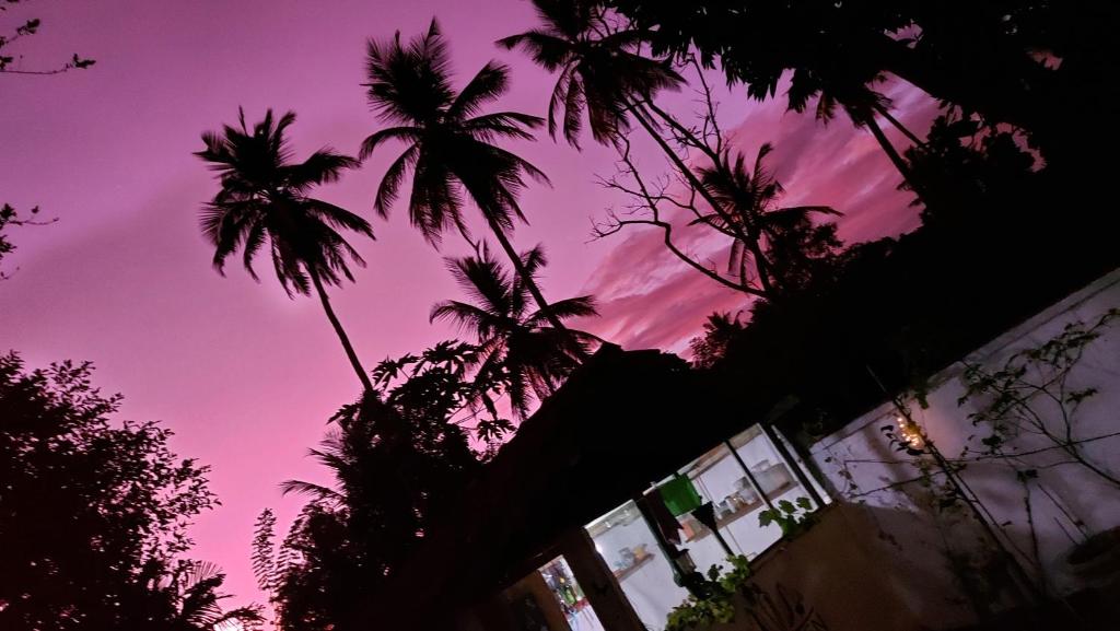 a group of palm trees against a purple sky at Wine Tree Garden Guesthouse in Mirissa