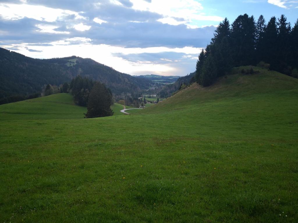 a field of green grass with a road in the distance at Jungholz Erlebnis in Jungholz