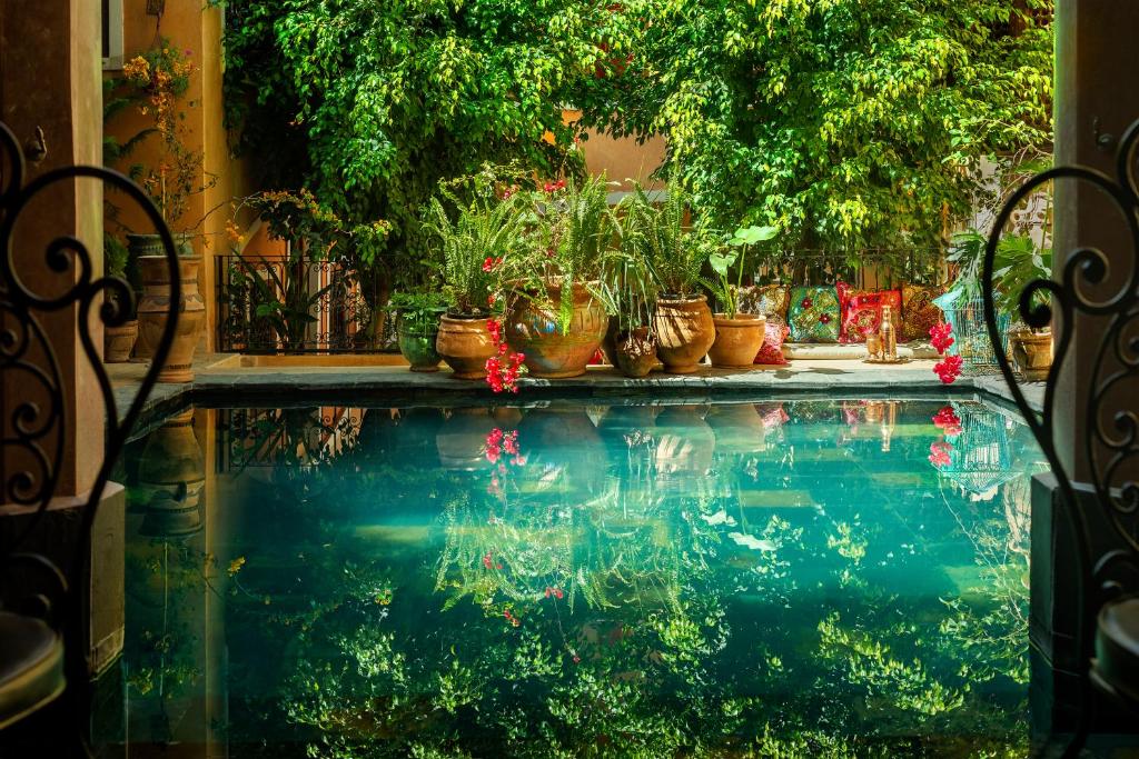 un charco de agua con macetas. en Riad Roxanne en Marrakech