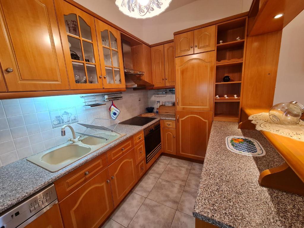 Kuchyň nebo kuchyňský kout v ubytování Myrtia Guest House
