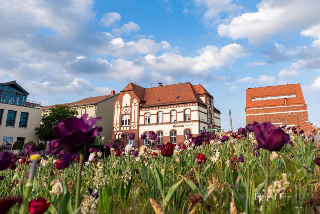 un campo de flores frente a un edificio en Pension Zur Alten Post, en Havelberg