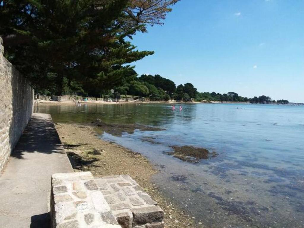 アラドンにあるAu Bord du Golfe du Morbihanの木と水の海岸