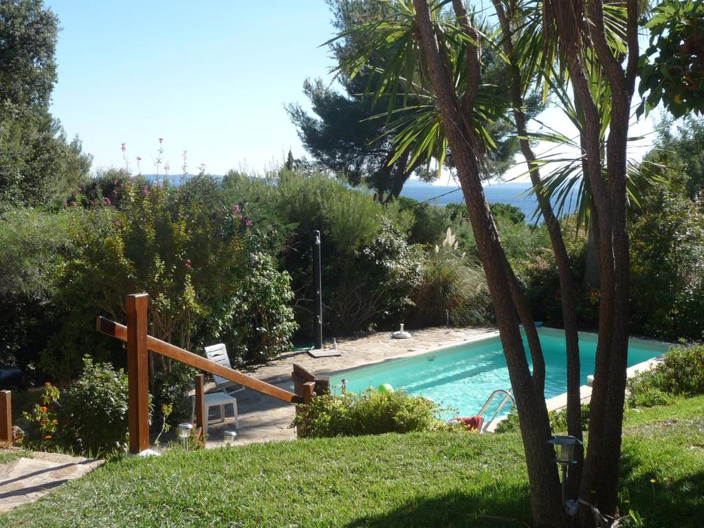 une piscine dans une cour avec un palmier dans l'établissement Villa avec piscine au Lavandou dans jardin méditerranéen, au Lavandou