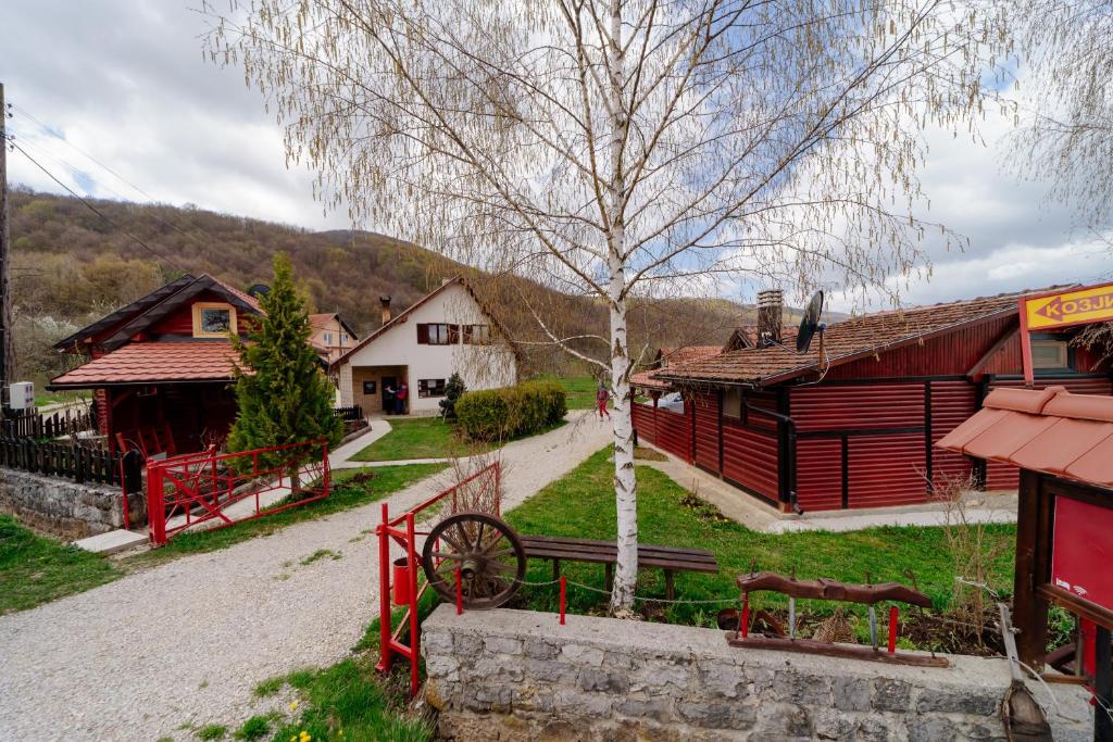 Příroda nedaleko apartmánu
