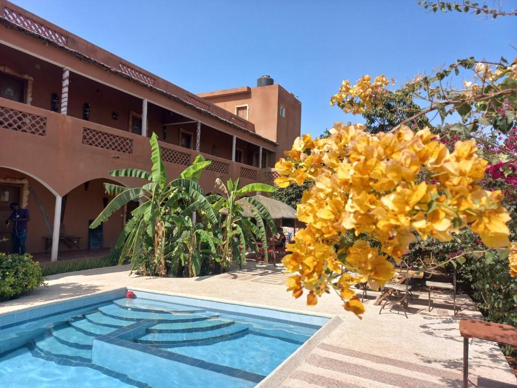 a bunch of yellow flowers hanging over a swimming pool at Begue Pokai in Toubab Dialaw