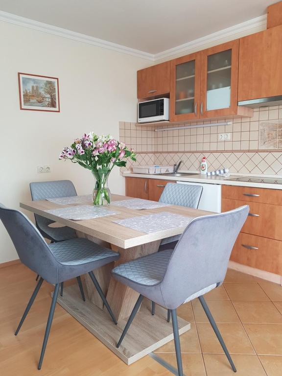 Kuchyň nebo kuchyňský kout v ubytování Elek Apartmanház