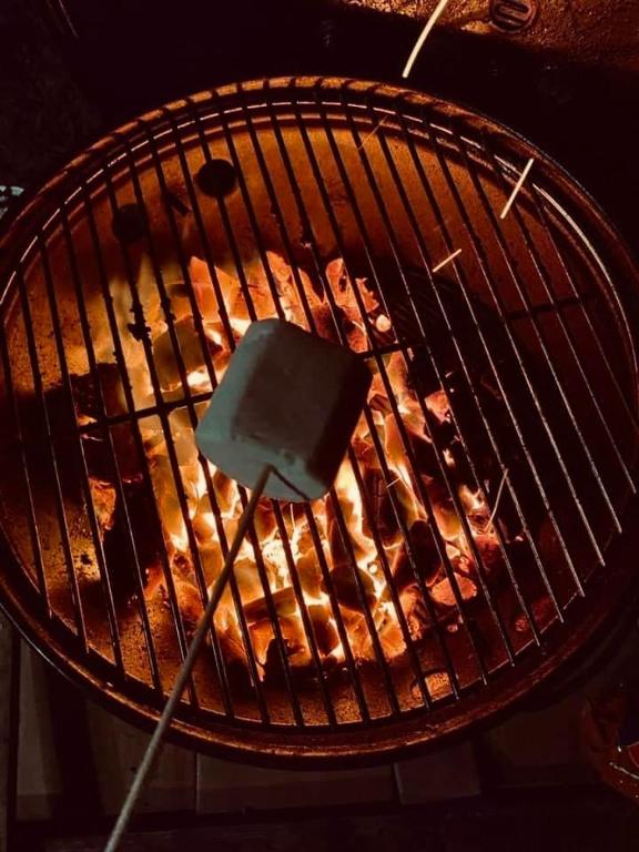Skipbridge farm glamping 4