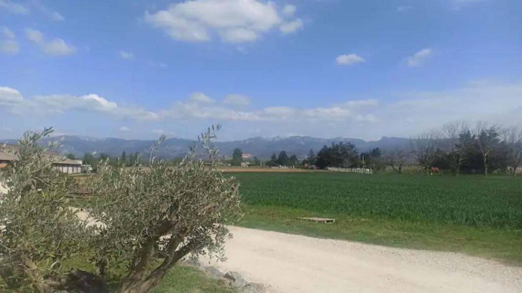 eine unbefestigte Straße neben einem Feld mit einem Baum in der Unterkunft Studio chaleureux vue sur le massif du vercors . in Alixan