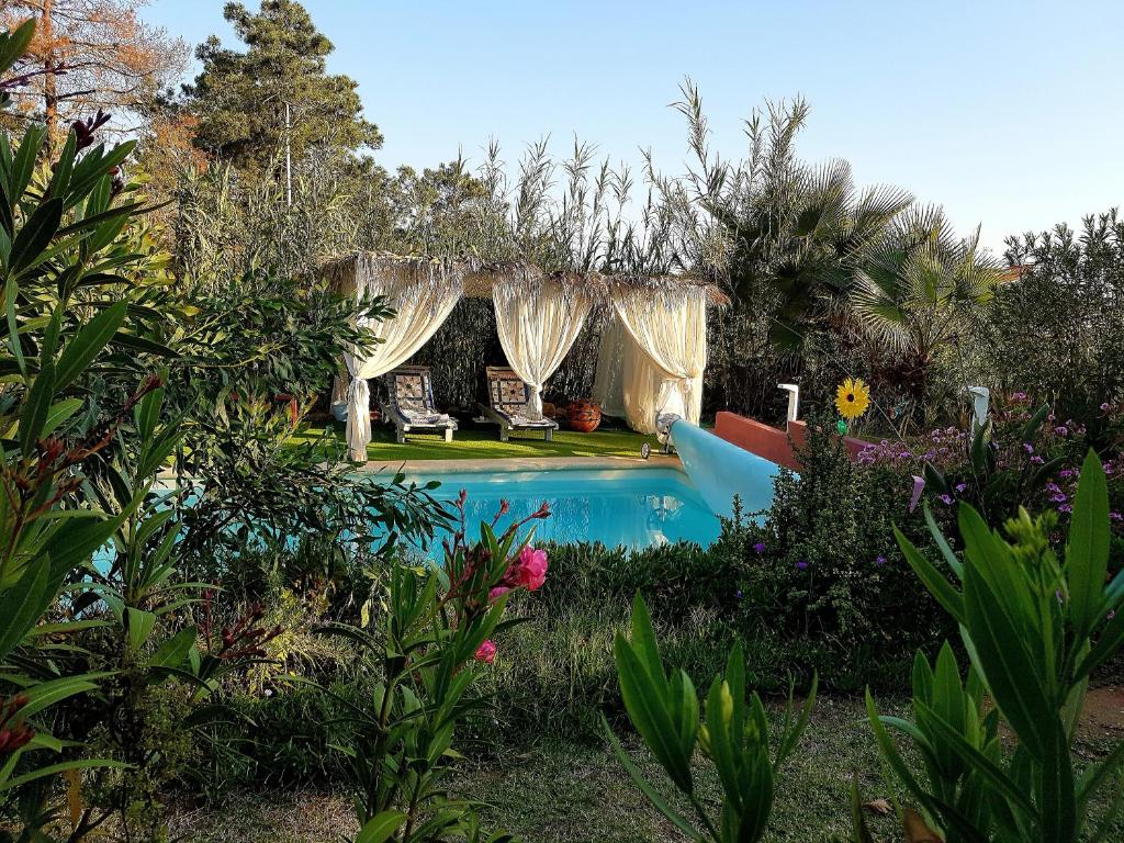 - une piscine dans une cour ornée d'arbres et de fleurs dans l'établissement BO-Piscine chauffée, Bénagil-Carvoeiro, à Carvoeiro