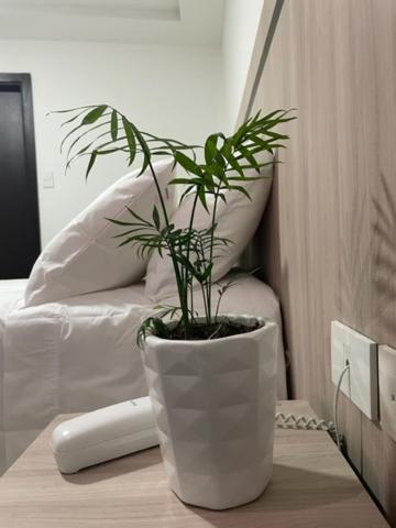 Postel nebo postele na pokoji v ubytování Hotel Nativo