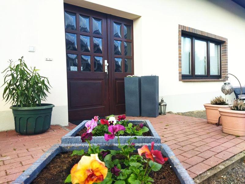 einen Garten mit Blumen vor einer Tür in der Unterkunft Ferienwohnung Familie Pohle in Lübbenau