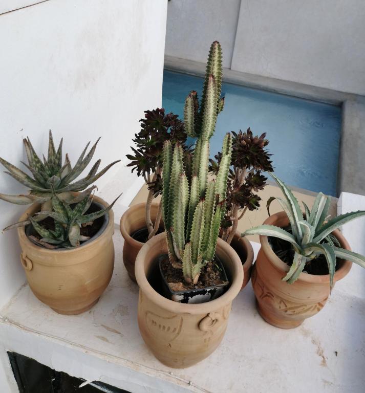 Fotografie z fotogalerie ubytování Riad Bab aylen - Piscine Roof Top chauffée v Marrákéši