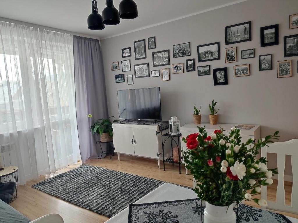 Televízia a/alebo spoločenská miestnosť v ubytovaní Retrospekcja - Apartament w centrum