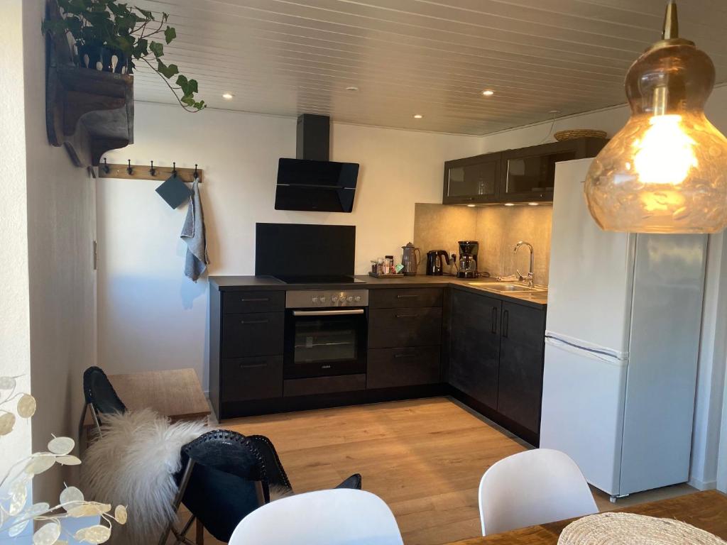 Kuchyň nebo kuchyňský kout v ubytování Motel Hune Apartments