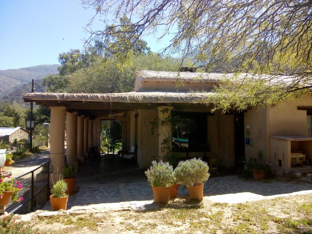 ein Haus mit Topfpflanzen davor in der Unterkunft Casa de Campo La Paya in Cachí