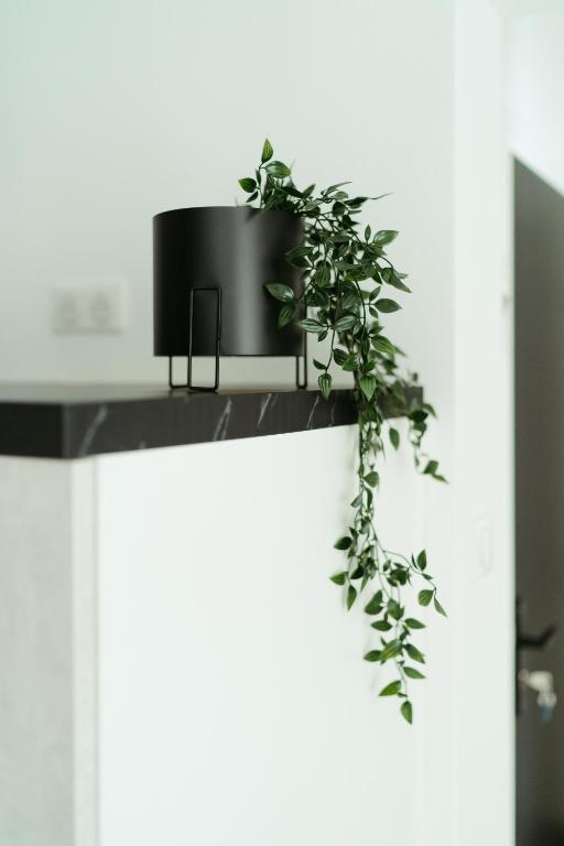 La DOLCE Villetta - appartement de Standing – photo 14