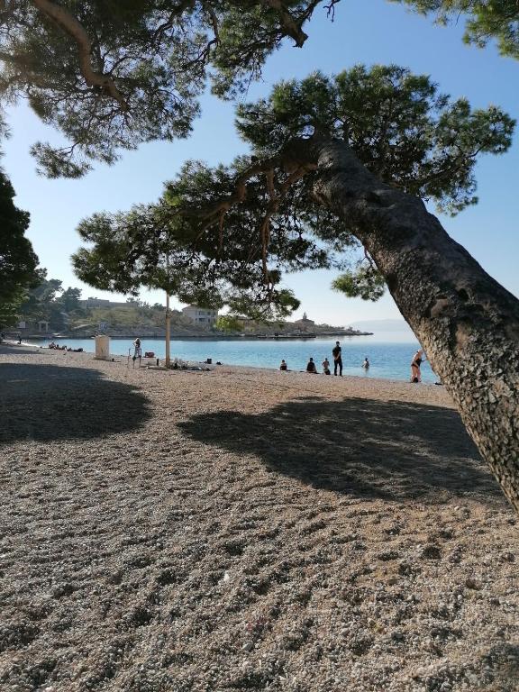Príroda v okolí apartmánu