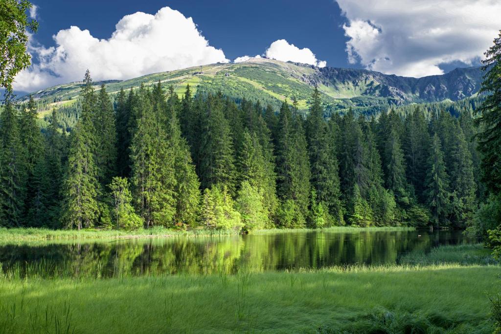 Příroda nedaleko apartmánu