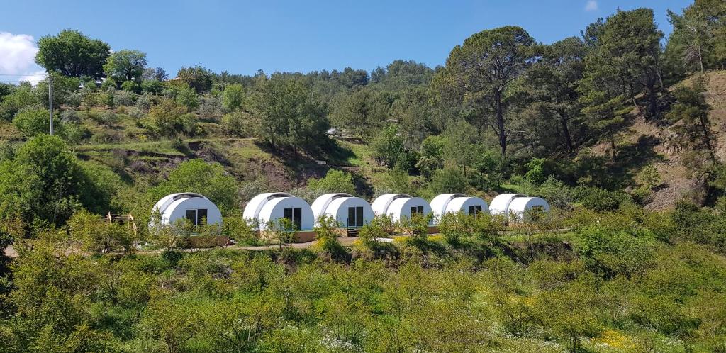 uma fileira de cúpulas brancas no topo de uma colina em EvergreenGlamping em Kumluca