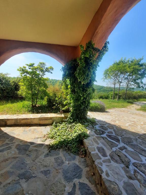 a building with an ivy covered pillar with a view at Apartma Villa Cedole Chabby Chick in Piran