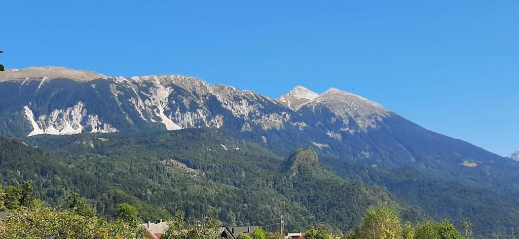 a mountain with trees and mountains in the background at Apartma Dana-Brinjtesa in Jesenice