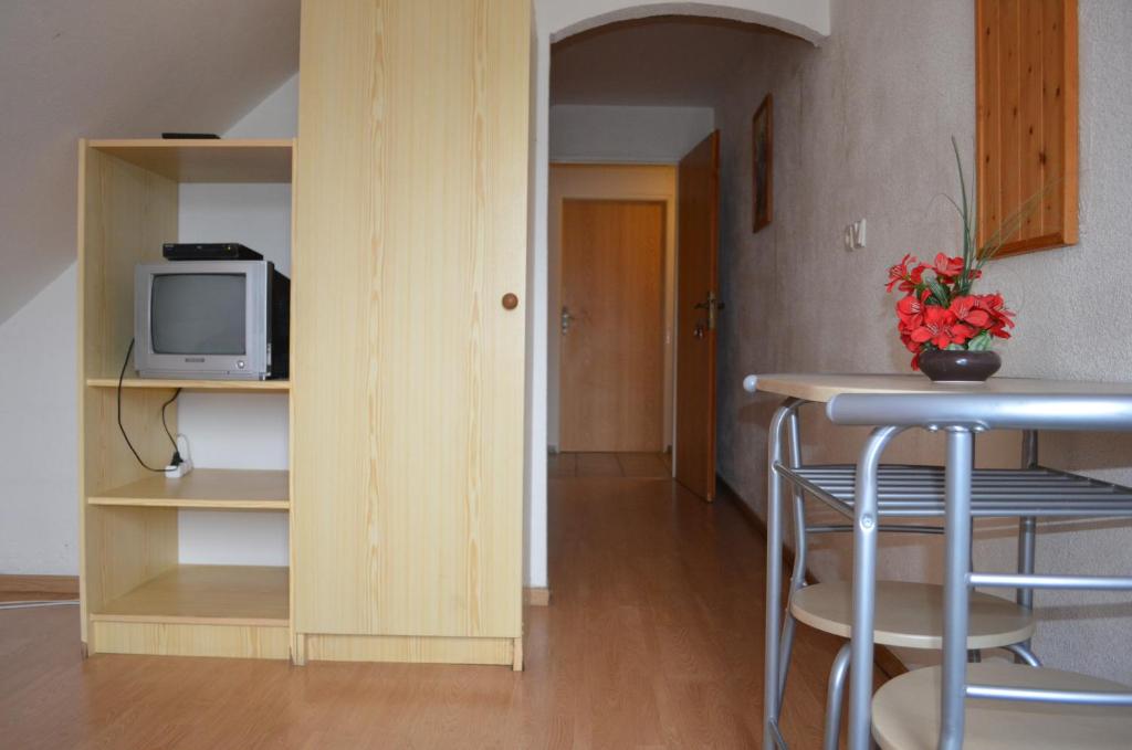 Kuchyň nebo kuchyňský kout v ubytování Pension Egida