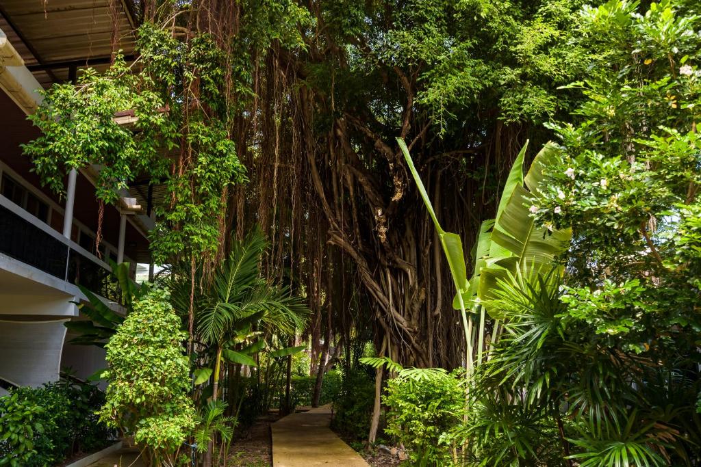 a garden with trees and plants in a building at 4U Resort Samui in Lamai