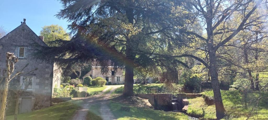 une vieille maison avec un arbre en face dans l'établissement Le moulin du Mesnil, à Saint-Georges-sur-Cher