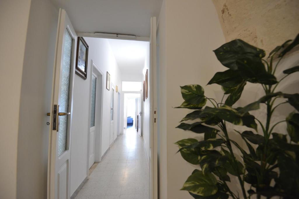 a hallway with a plant next to a door at B&B CASAVACANZE CHIESA MADRE in Carovigno