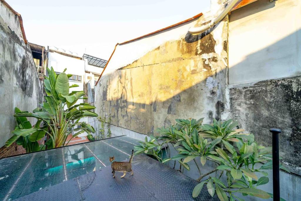 Fotografie z fotogalerie ubytování 樂客背包旅棧 Local Backpacker Hostel v destinaci Tchaj-nan