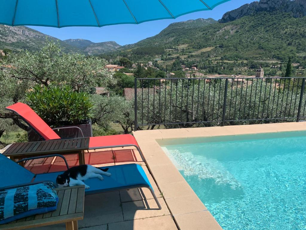 a cat standing on a chair next to a swimming pool at Mas Christine in Buis-les-Baronnies