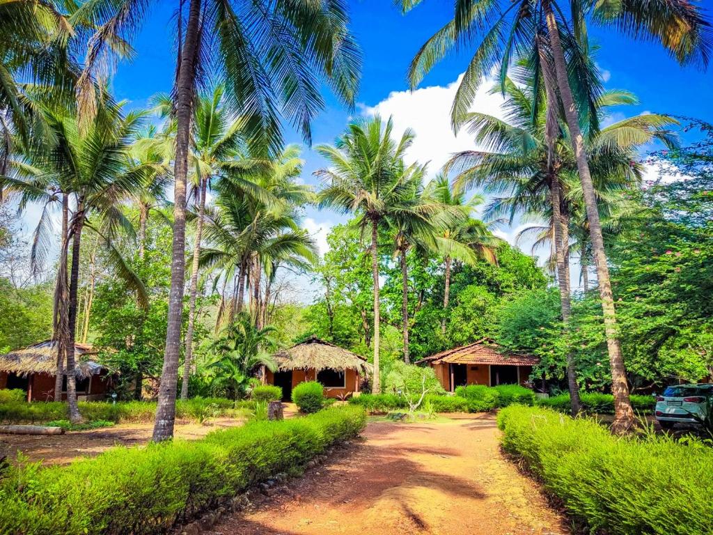 uma estrada em frente a um grupo de palmeiras em Nature's Nest Eco Resort Goa, Near Dudhsagar Waterfalls em Molem